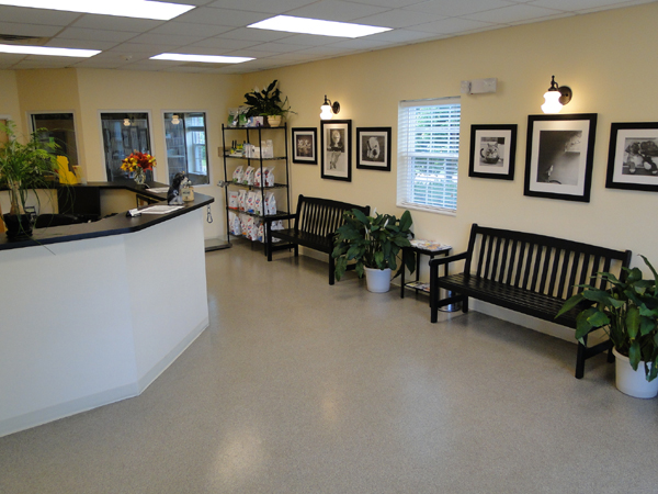 Reception Area