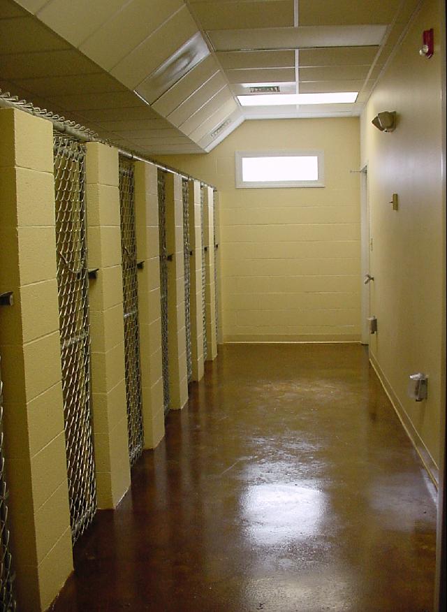 Kennel