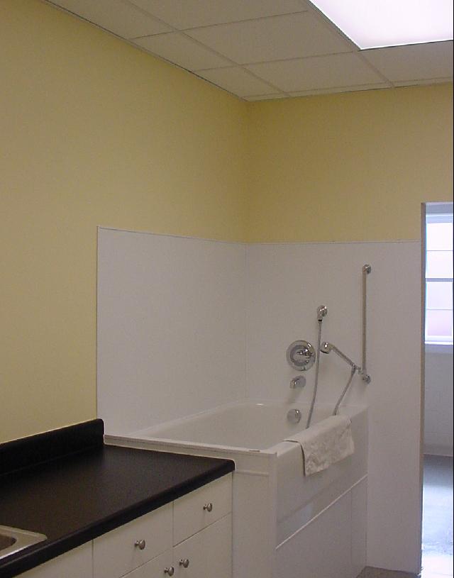 Laundry & Tub Area