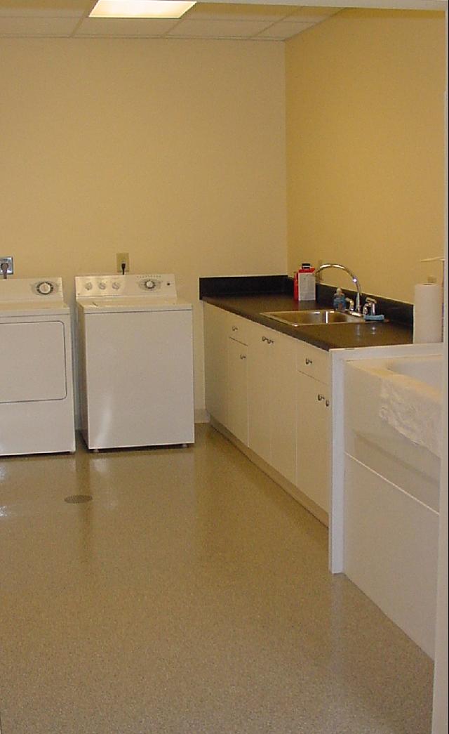 Laundry & Tub Area