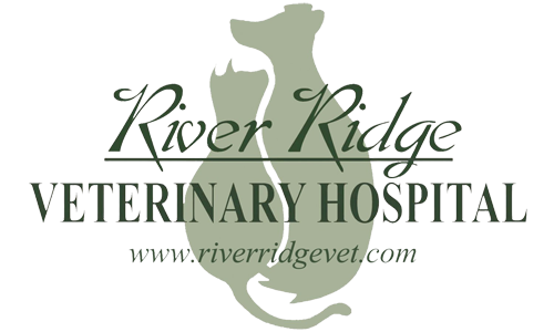 River Ridge Veterinary Hospital